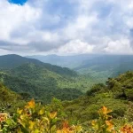 Monteverde - Costa Rica's Cloud Forests