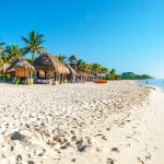 Playa del Carmen: The Ultimate Travel Guide to Mexico’s Riviera Maya Paradise