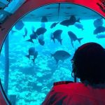 897489456 Barbados Aquarium: The Ultimate Travel Guide to a Family-Friendly Caribbean Attraction