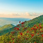 CG_Craggy-Sunset-7230-jim-ruff-1024x512 Blue Ridge Parkway: The Ultimate Travel Guide to America’s Most Scenic Drive