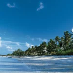 Andros: The Ultimate Travel Guide to the Caribbean’s Hidden Gem