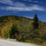 Road_Beech-Gap_CR-NPS_AArmstrong Blue Ridge Parkway: The Ultimate Travel Guide to America’s Most Scenic Drive