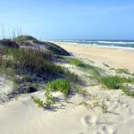 Outer Banks: The Ultimate Travel Guide to North Carolina’s Coastal Paradise