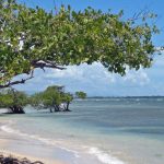 USZeeuXLRoeGrV3f9RHq Ponce: The Ultimate Travel Guide to Puerto Rico’s Cultural Capital