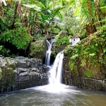 Waterfall-hidden-in-El-Yunque-Rainforest-on-the-island-of-Puerto-Rico Ponce: The Ultimate Travel Guide to Puerto Rico’s Cultural Capital