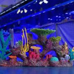 barbadoswebsiteupdate-scaled Barbados Aquarium: The Ultimate Travel Guide to a Family-Friendly Caribbean Attraction