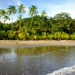 Tamarindo: The Ultimate Travel Guide to Costa Rica’s Surf Paradise