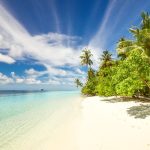 Key Largo – the gateway to the Florida Keys' underwater world