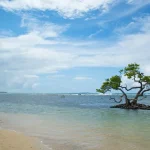 ponce-puerto-rico-153356 Ponce: The Ultimate Travel Guide to Puerto Rico’s Cultural Capital