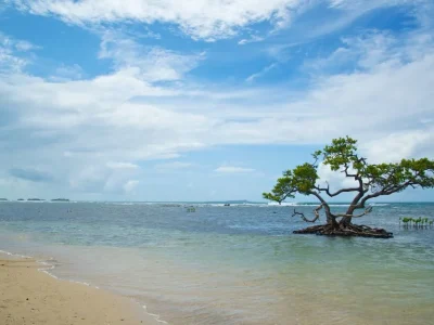Ponce: The Ultimate Travel Guide to Puerto Rico’s Cultural Capital