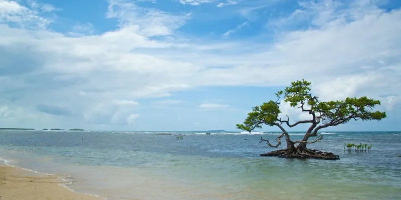 Ponce: The Ultimate Travel Guide to Puerto Rico’s Cultural Capital