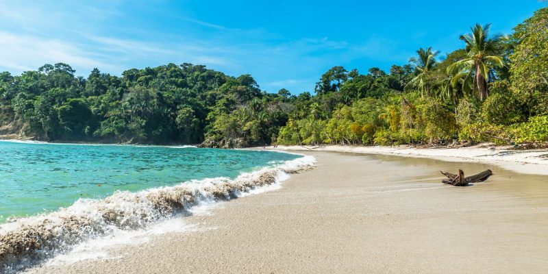 Tamarindo: The Ultimate Travel Guide to Costa Rica’s Surf Paradise