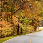 0F9C4C97-AB13-0269-39CB3085493BCB4C Natchez Trace Parkway: The Ultimate Travel Guide to a Historic Scenic Drive in the American South