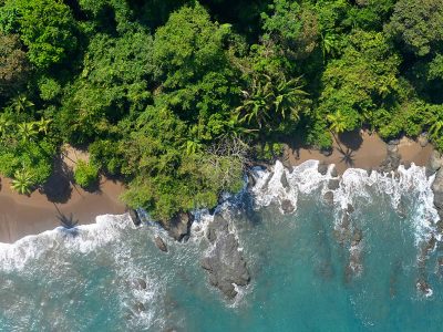 Corcovado National Park The Ultimate Travel Guide to Costa Rica’s Wild Tropical Paradise