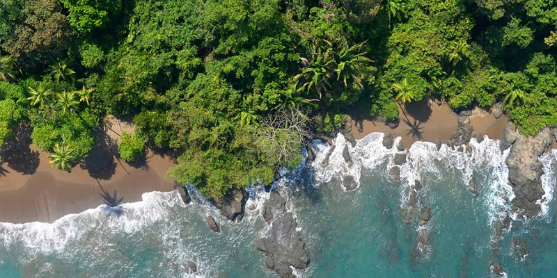 Corcovado National Park The Ultimate Travel Guide to Costa Rica’s Wild Tropical Paradise