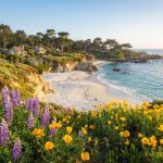 1f6cb8f43b74dfa3bf16ff1530869b85 Carmel-by-the-Sea: The Ultimate Travel Guide to California’s Coastal Fairytale Town