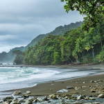 Corcovado - Costa Rica's Tropical Jungle