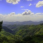 Blue-Mts Blue Mountains Jamaica: The Ultimate Travel Guide to Jamaica’s Scenic Mountain Paradise