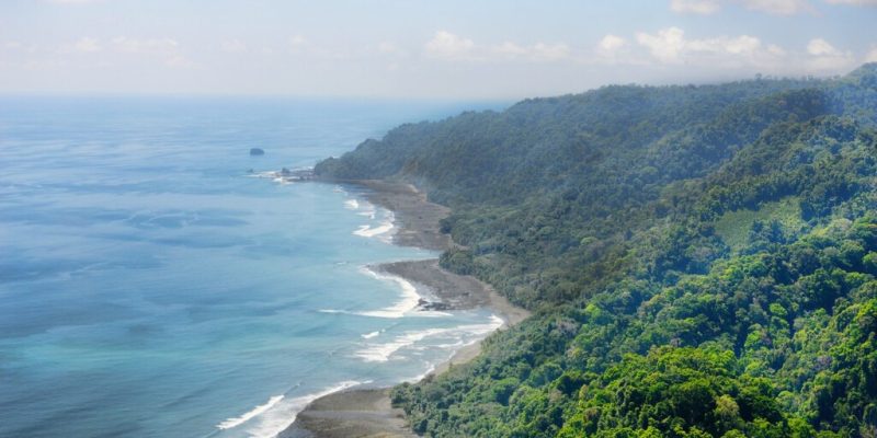 Corcovado - Costa Rica's Tropical Jungle
