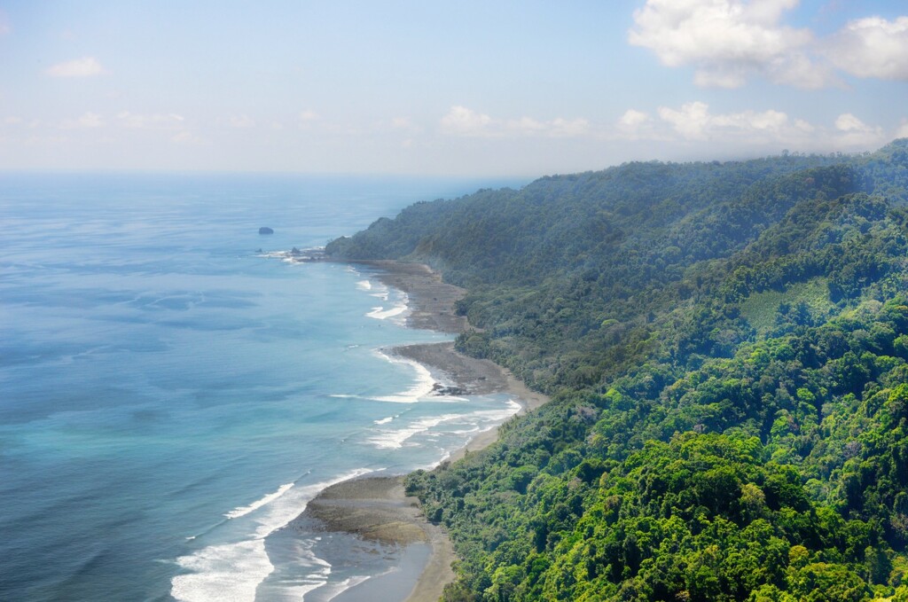 Corcovado - Costa Rica's Tropical Jungle