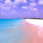 Pink-Sands-Beach-Harbour-Island-Bahamas Harbour Island & Pink Sand Beach: The Ultimate Travel Guide to the Bahamas’ Most Beautiful Escape