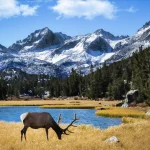 Screenshot-2023-05-09-at-2.04.29-PM-1-1024x820 Rocky Mountain National Park: The Ultimate Travel Guide to Colorado’s Mountain Paradise