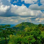 View-Of-The-Blue-Mountains-Jamaicajpg Blue Mountains Jamaica: The Ultimate Travel Guide to Jamaica’s Scenic Mountain Paradise