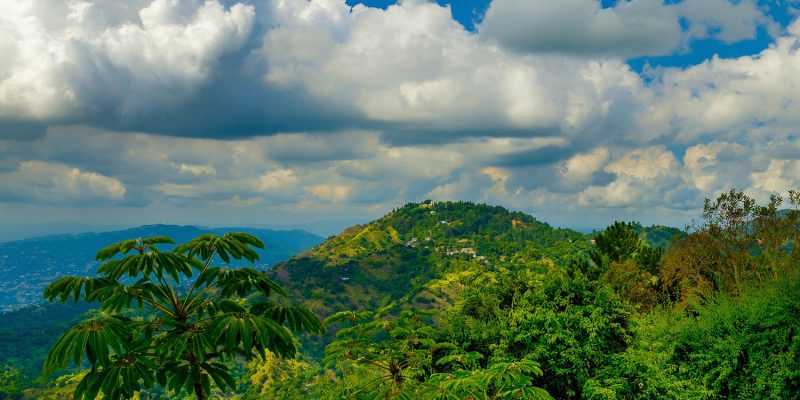 The Blue Mountains of Jamaica – tropical peaks, coffee, and incredible landscapes