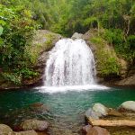 blue-mountain-jamaica-waterfall Blue Mountains Jamaica: The Ultimate Travel Guide to Jamaica’s Scenic Mountain Paradise
