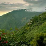 jamaica-blue-mountain-view Blue Mountains Jamaica: The Ultimate Travel Guide to Jamaica’s Scenic Mountain Paradise