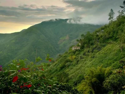 Blue Mountains Jamaica: The Ultimate Travel Guide to Jamaica’s Scenic Mountain Paradise