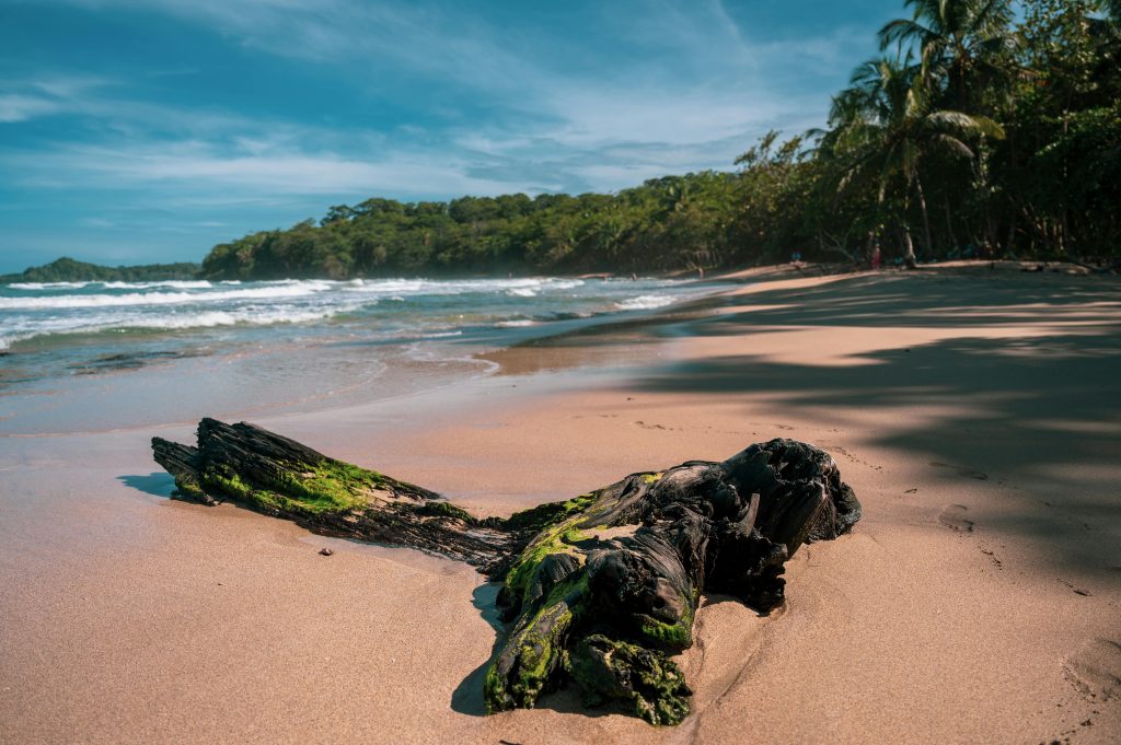 Puerto Viejo de Talamanca: The Ultimate Travel Guide to Costa Rica’s Caribbean Paradise 1 Puerto Viejo de Talamanca: The Ultimate Travel Guide to Costa Rica’s Caribbean Paradise