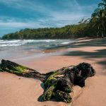 pexels-attie-9138509 (1) Puerto Viejo de Talamanca: The Ultimate Travel Guide to Costa Rica’s Caribbean Paradise