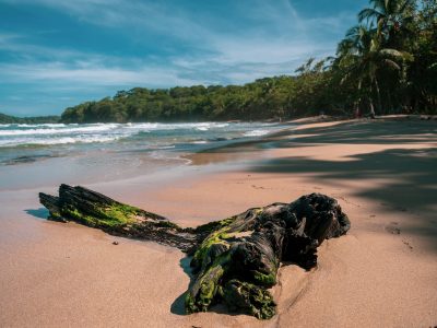 Puerto Viejo de Talamanca: The Ultimate Travel Guide to Costa Rica’s Caribbean Paradise