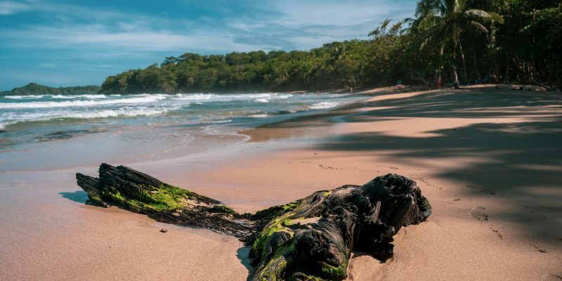 Puerto Viejo de Talamanca: The Ultimate Travel Guide to Costa Rica’s Caribbean Paradise