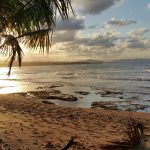 pexels-luis-rod-251519-762565 Puerto Viejo de Talamanca: The Ultimate Travel Guide to Costa Rica’s Caribbean Paradise