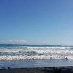 pexels-luis-rod-251519-762566 Puerto Viejo de Talamanca: The Ultimate Travel Guide to Costa Rica’s Caribbean Paradise