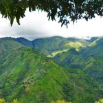 sam_2242-2 Blue Mountains Jamaica: The Ultimate Travel Guide to Jamaica’s Scenic Mountain Paradise