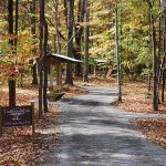 timberland-park-natchez-trace-parkway Natchez Trace Parkway: The Ultimate Travel Guide to a Historic Scenic Drive in the American South