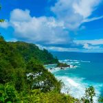 Corcovado - Costa Rica's Tropical Jungle