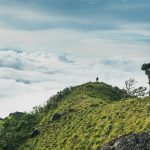 cristhian-carreno-I1k4RQp1v60-unsplash Boquete - the coffee capital of Panama