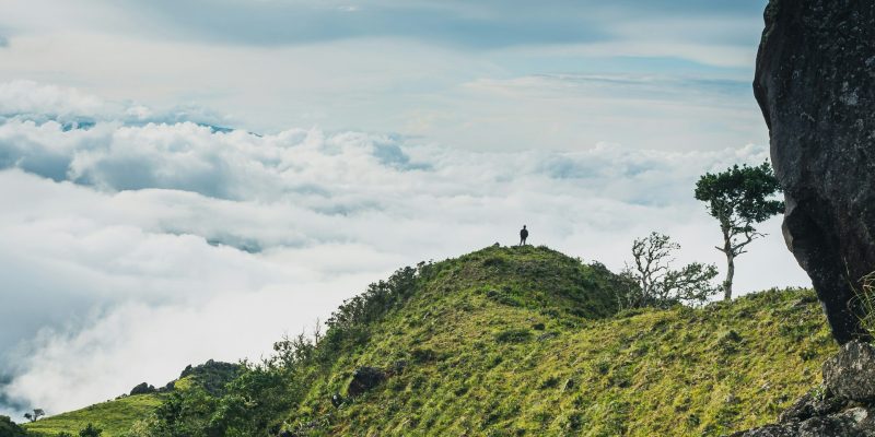 Boquete Coffee Plantations: The Ultimate Travel Guide to Panama’s Coffee Capital