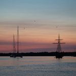 pexels-david-kanigan-239927285-28400249 Nantucket: The Ultimate Travel Guide to Massachusetts’ Charming Island Escape
