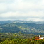 pexels-juanmt-30548173 Boquete - the coffee capital of Panama
