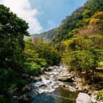 pexels-kelly-2380342 Boquete - the coffee capital of Panama