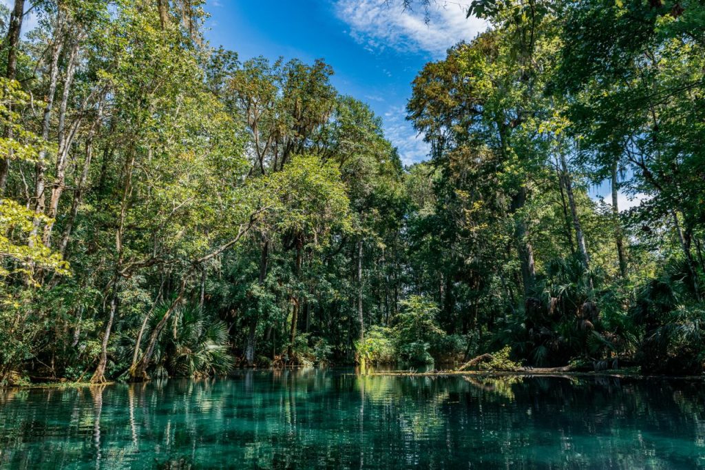 Lamanai: The Ultimate Travel Guide to Belize’s Ancient Maya City in the Jungle 1 Lamanai: The Ultimate Travel Guide to Belize’s Ancient Maya City in the Jungle
