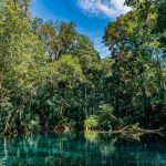 pexels-kelsey-wilkerson-443975242-17614145 Lamanai: The Ultimate Travel Guide to Belize’s Ancient Maya City in the Jungle
