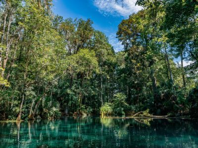 Lamanai: The Ultimate Travel Guide to Belize’s Ancient Maya City in the Jungle