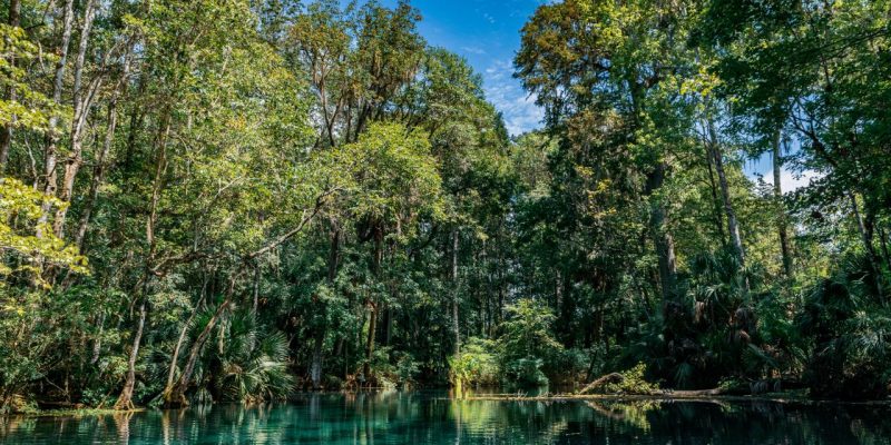 Lamanai: The Ultimate Travel Guide to Belize’s Ancient Maya City in the Jungle
