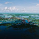 pexels-kelly-19063384 Tonle Sap: The Ultimate Travel Guide to Cambodia’s Miraculous Floating World